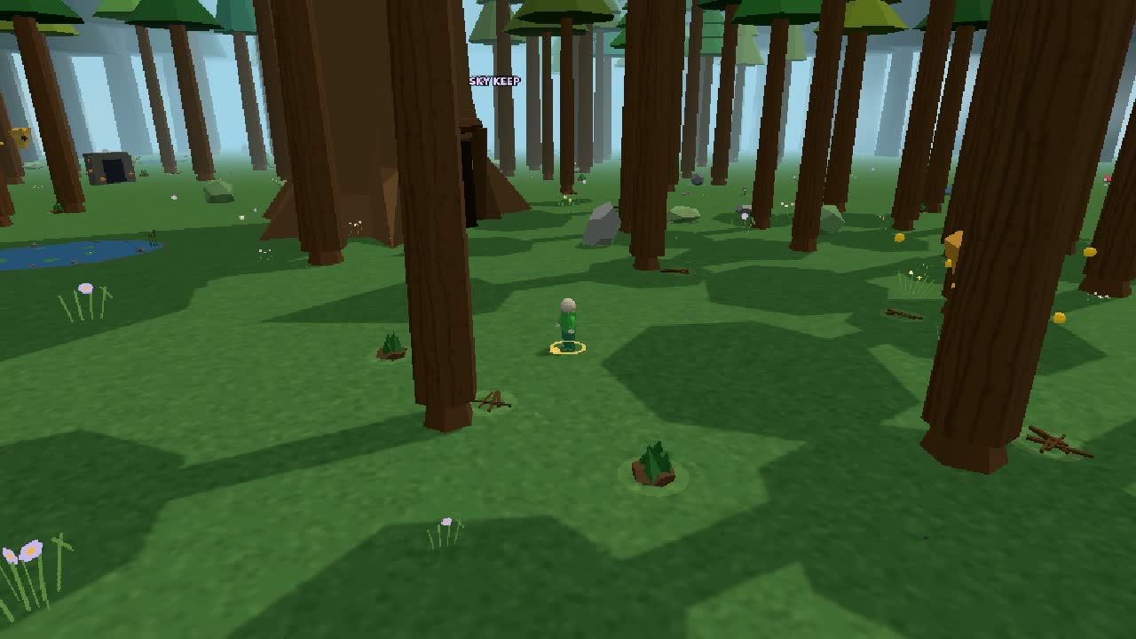 The forest around the Great Tree